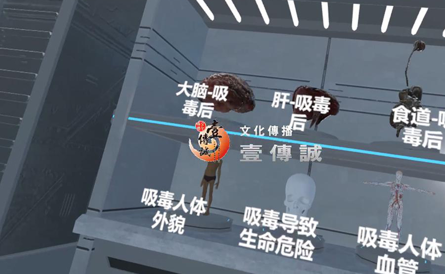 圖片8