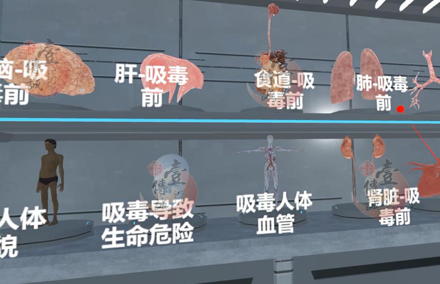 圖片8