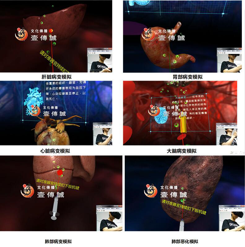 圖片8