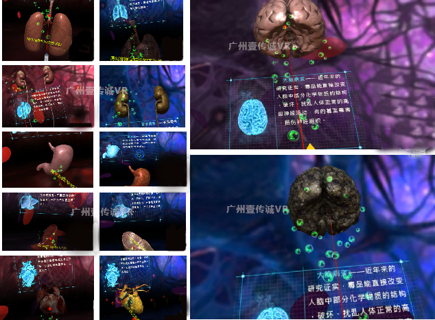 （壹傳誠(chéng)VR毒品個(gè)人危害-吸毒后身體器官變化）