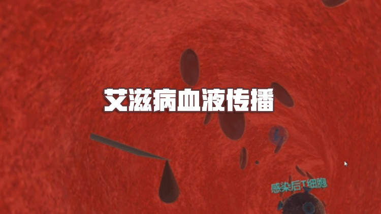 圖片 5