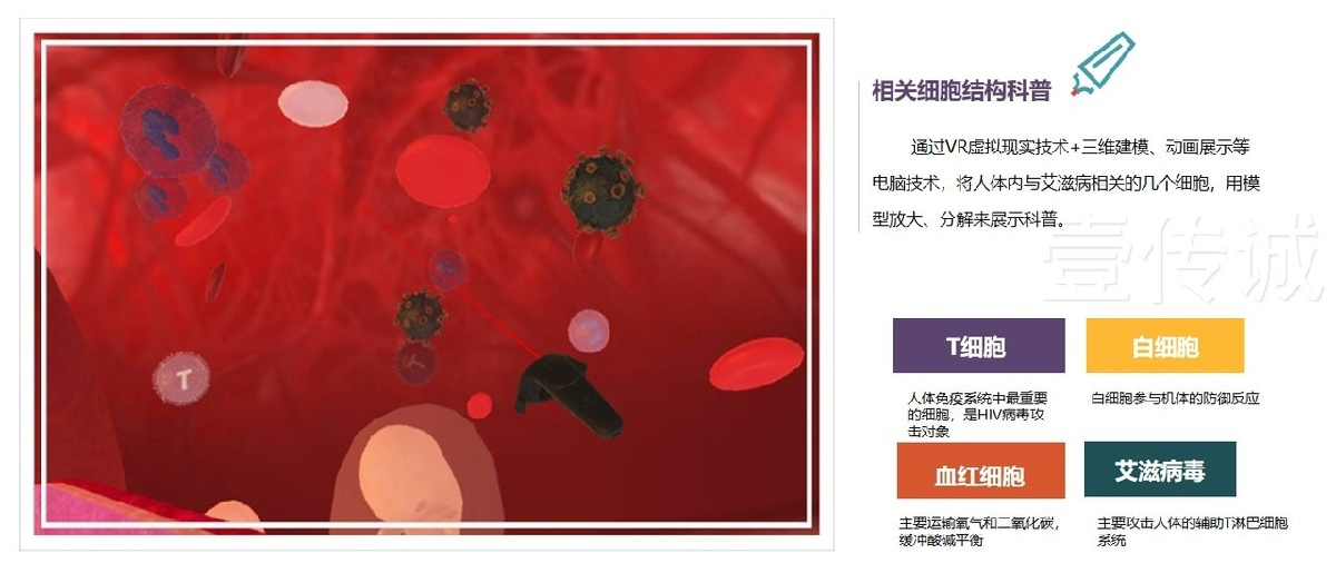 圖片 9