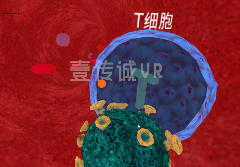 VR預(yù)防艾滋病 (2)