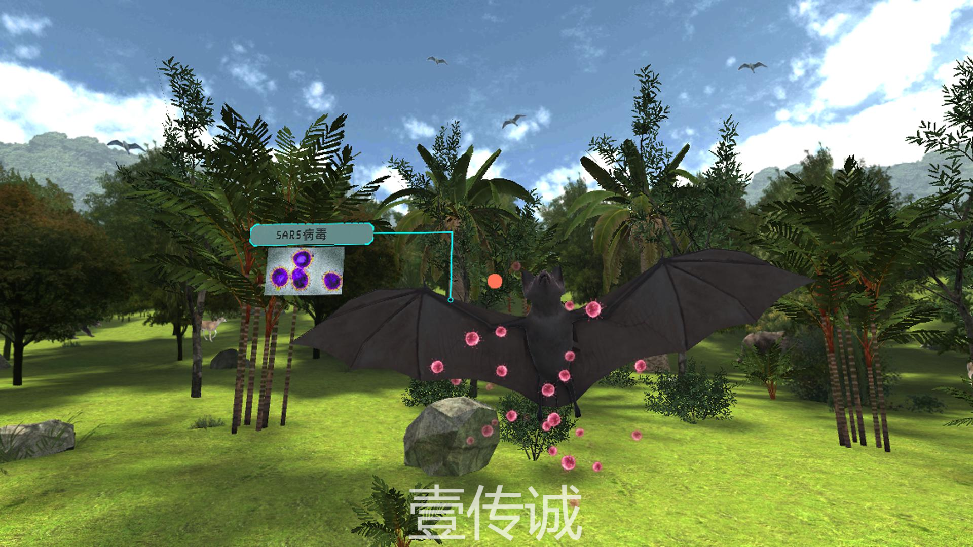 VR科普野生動物與傳染病