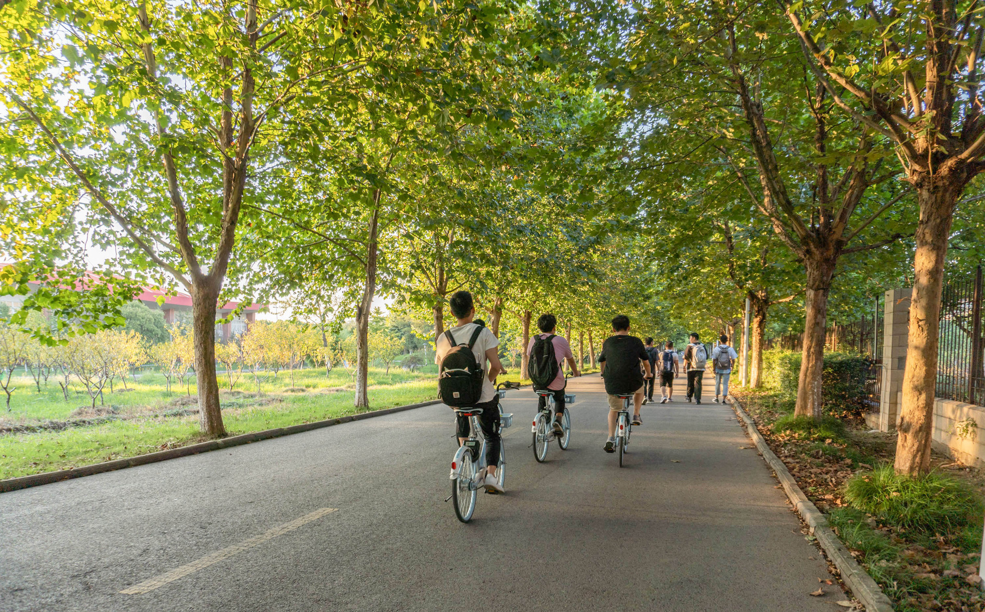 VR騎行,VR自行車騎行,VR道路安全