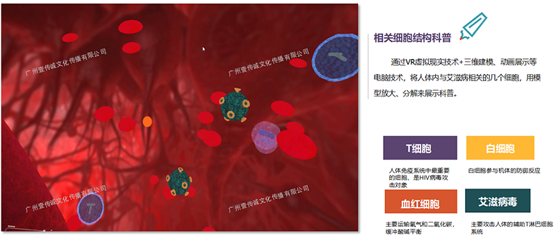 廣州壹傳誠VR 艾滋病培訓系統(tǒng) 防艾科普教學 防艾宣傳教育