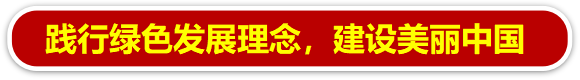 圖片7