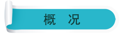概況