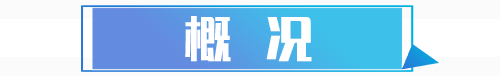 概況